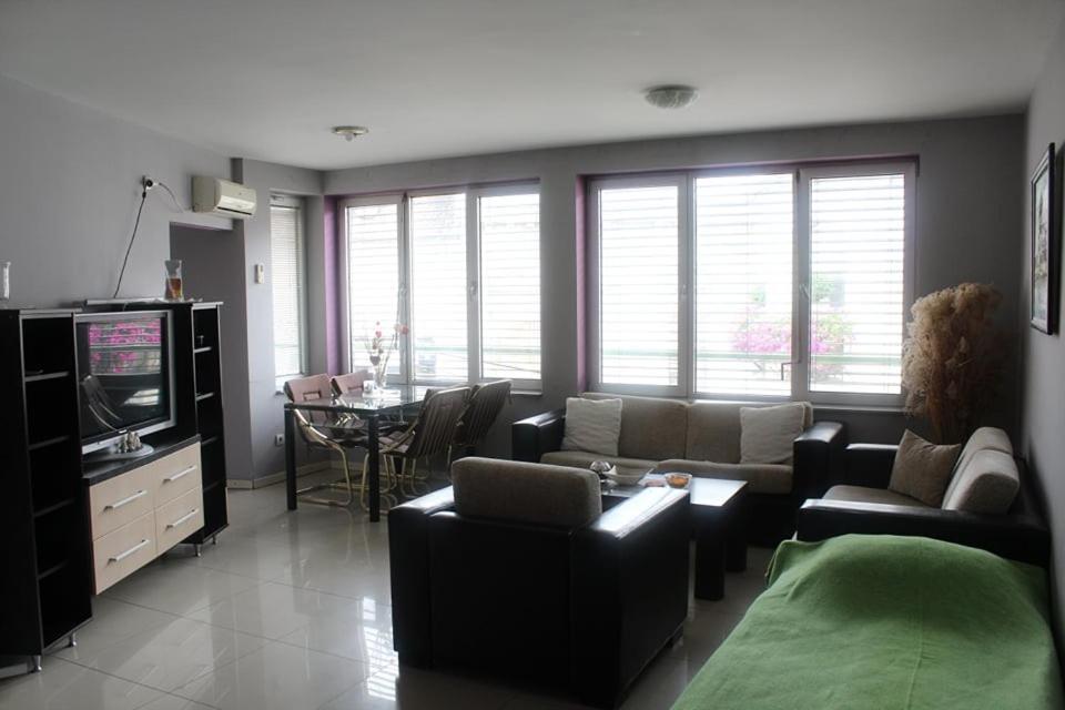 Apartman Natasa 1 Vrsac Exterior photo